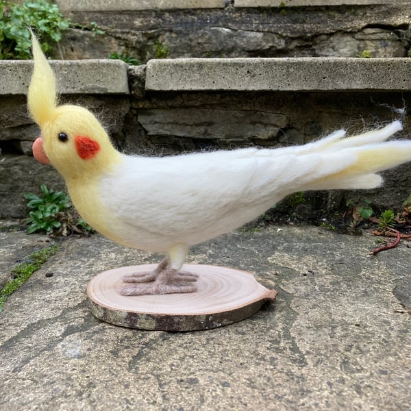 Needle felted white cockatiel sculpture walking