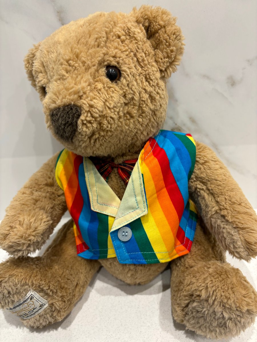 Large Size Rainbow Teddy Waistcoat 