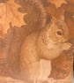 Welcome Autumn squirrel with love birthday card - Image 6