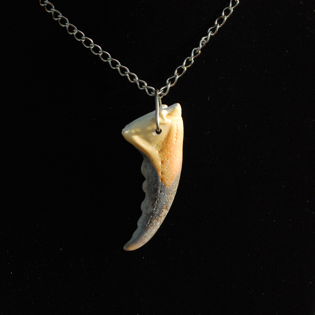 Crab pincer pendant