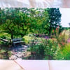 Garden bench - Beth Chatto gardens - greeting card