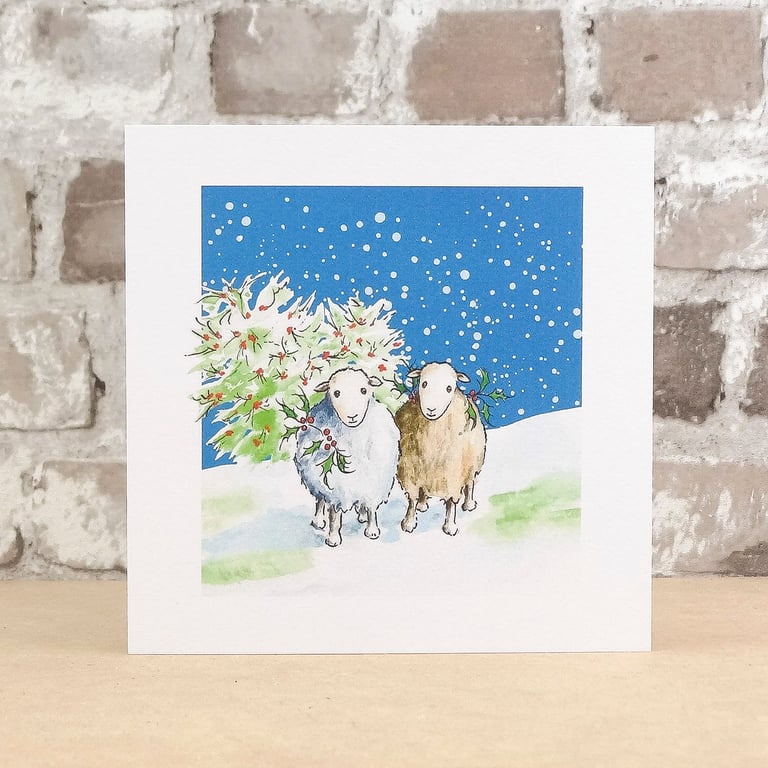 Christmas Card Holly Sheep