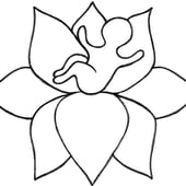 Lotus Birth Campaign