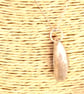 Its all about the Mussel - PMC Silver Mussel Handmade Pendant Necklace - Image 8