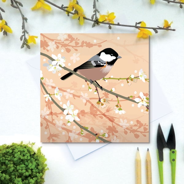 Coal Tit on Plum Blossom Spring Greetings Card - British Bird, Eco Friendly