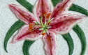 Hand Felted Summer Flowers