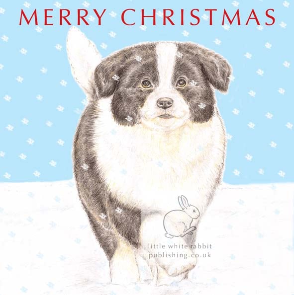 Rosie in the Snow - Christmas Card