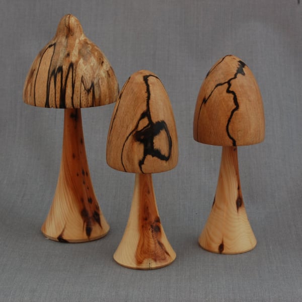 Perfectly Imperfect-Collectible Toadstool Trio