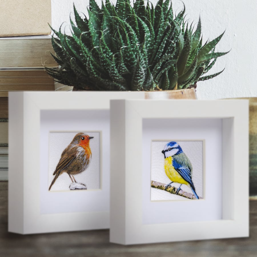 robin and bluetit - two framed pictures