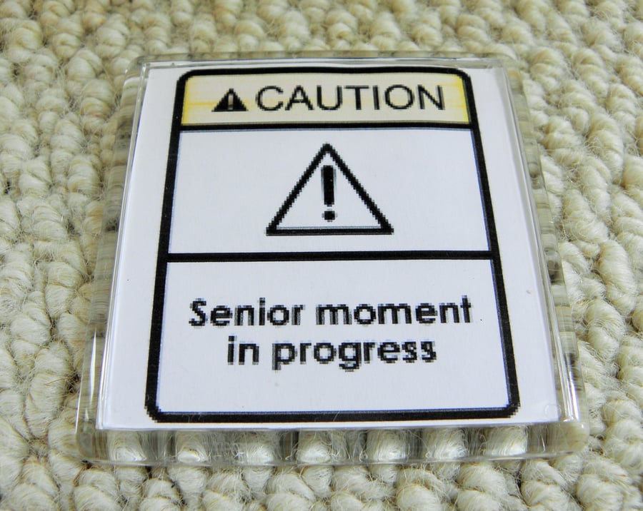 Senior Moment In Progress Magnet