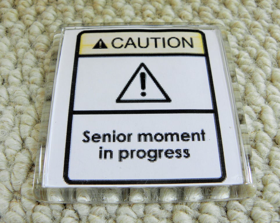 Senior Moment In Progress Magnet