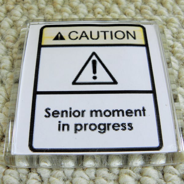 Senior Moment In Progress Magnet