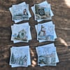 Funny Seaside Christmas Card Set of Six Square Seasonal Greetings Cards