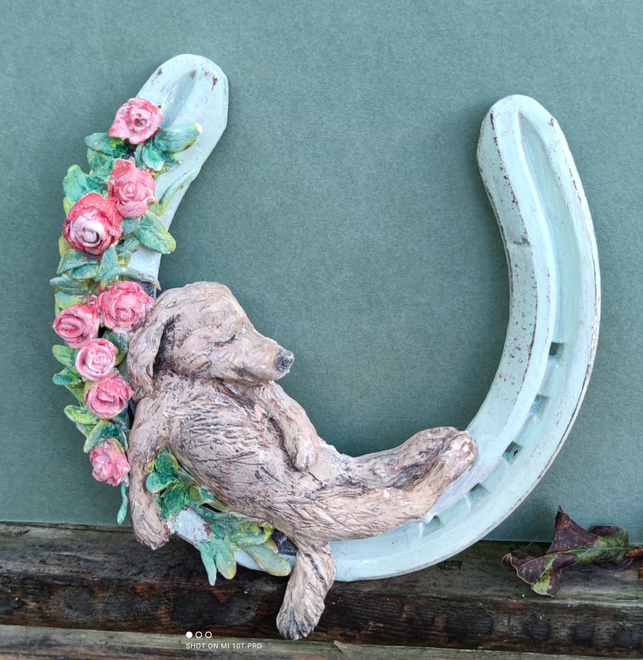 Dozing dog horseshoe 