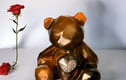 Forever Beside Me Memorial Teddies