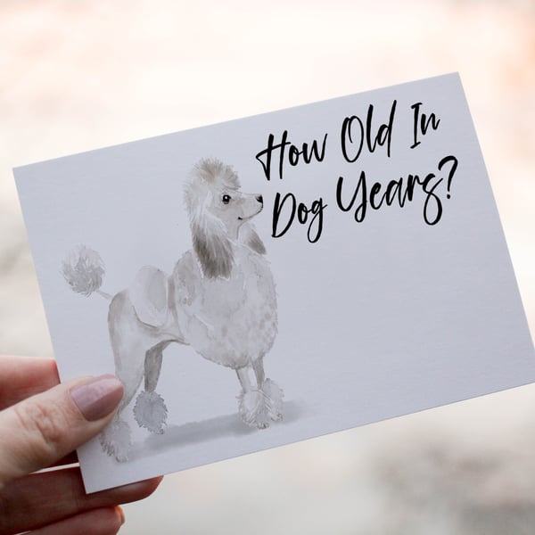 Poodle Dog Birthday Card, Dog Birthday Card