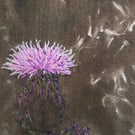 Plants for pollinators - Creeping Thistle - Cyanotype & stitch - Eco Textile Art