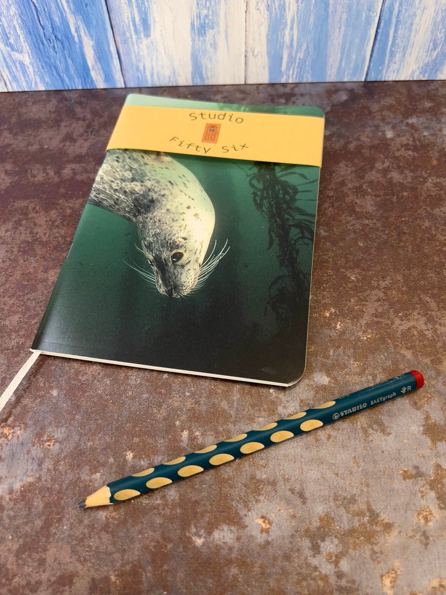 Notebook, Marine themed, A5 (ish), made from up-cycled and recycled materials.