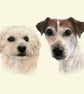 Pet Portrait - Image 2