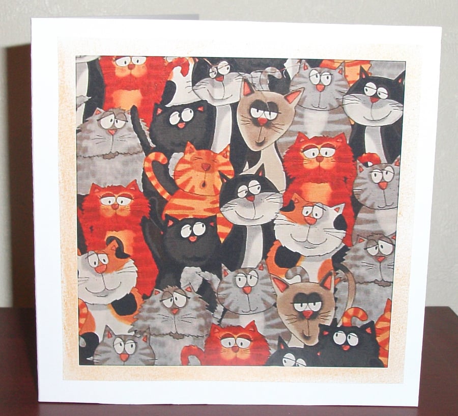 cat birthday card, cat birthday card, cat birthday card