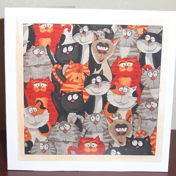 cat birthday card, cat birthday card, cat birthday card