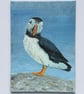Puffin Painting