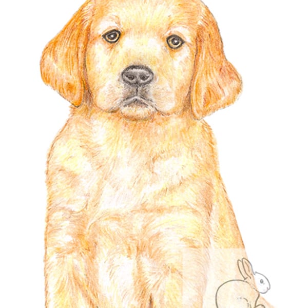 Dexter the Golden Retriever Puppy - Father's Day Card