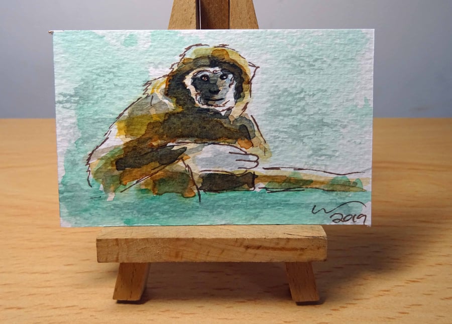 ACEO Animal Art Gibbon Sit Original Watercolour and Ink Painting OOAK Monkey