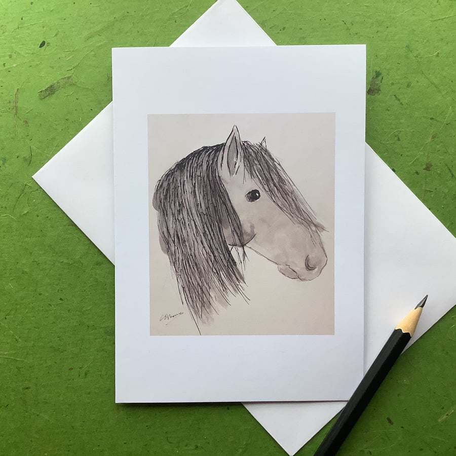 Horse  - greeting card. Blank inside.