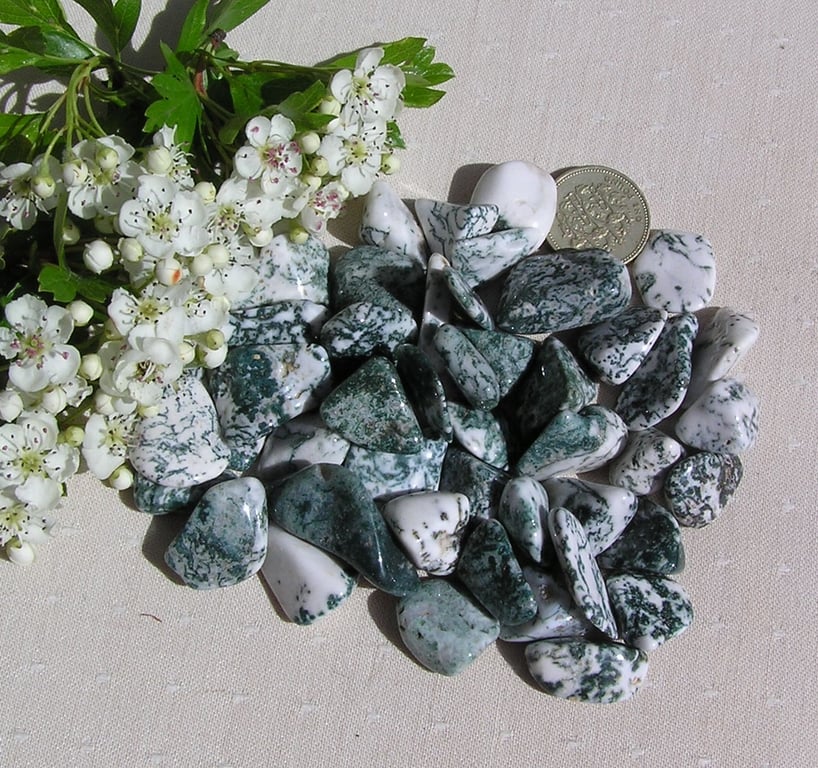 10 Tree Agate Crystal Polished Tumblestones, Chakra, Craft, Mosaic, Grid, Favour