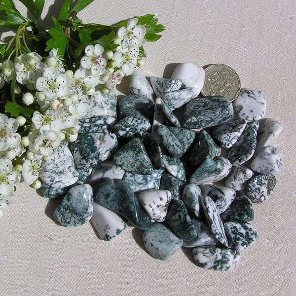 10 Tree Agate Crystal Polished Tumblestones, Chakra, Craft, Mosaic, Grid, Favour