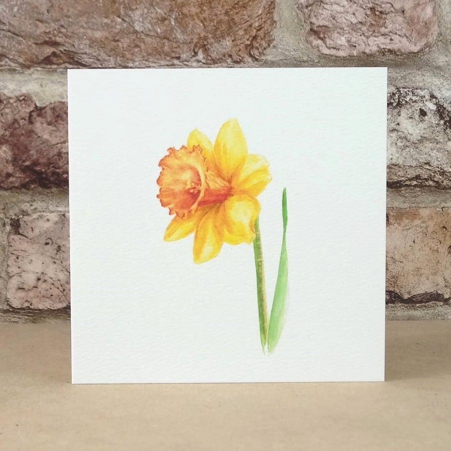 Mothers Day Card Daffodil  (Eco friendly)
