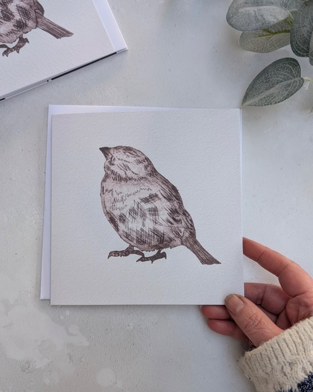Sparrow Note Card, Wildlife Greetings Card