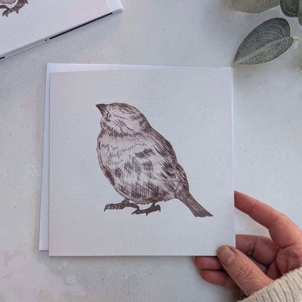 Sparrow Note Card, Wildlife Greetings Card