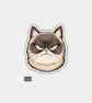 Funny Vinyl Sticker For Adults - Angry Cat - Folksy