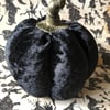 Crushed Velvet Black Pumpkin With A Pumpkin Spice Fragrance