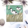 Avocets Card - birthday, bird watchers, british bird