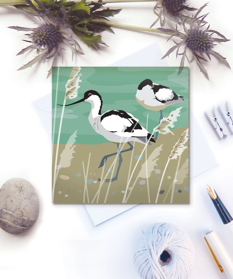 Avocets Card - birthday, bird watchers, british bird