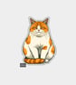 Funny Vinyl Sticker For Adults - Judgy Cat