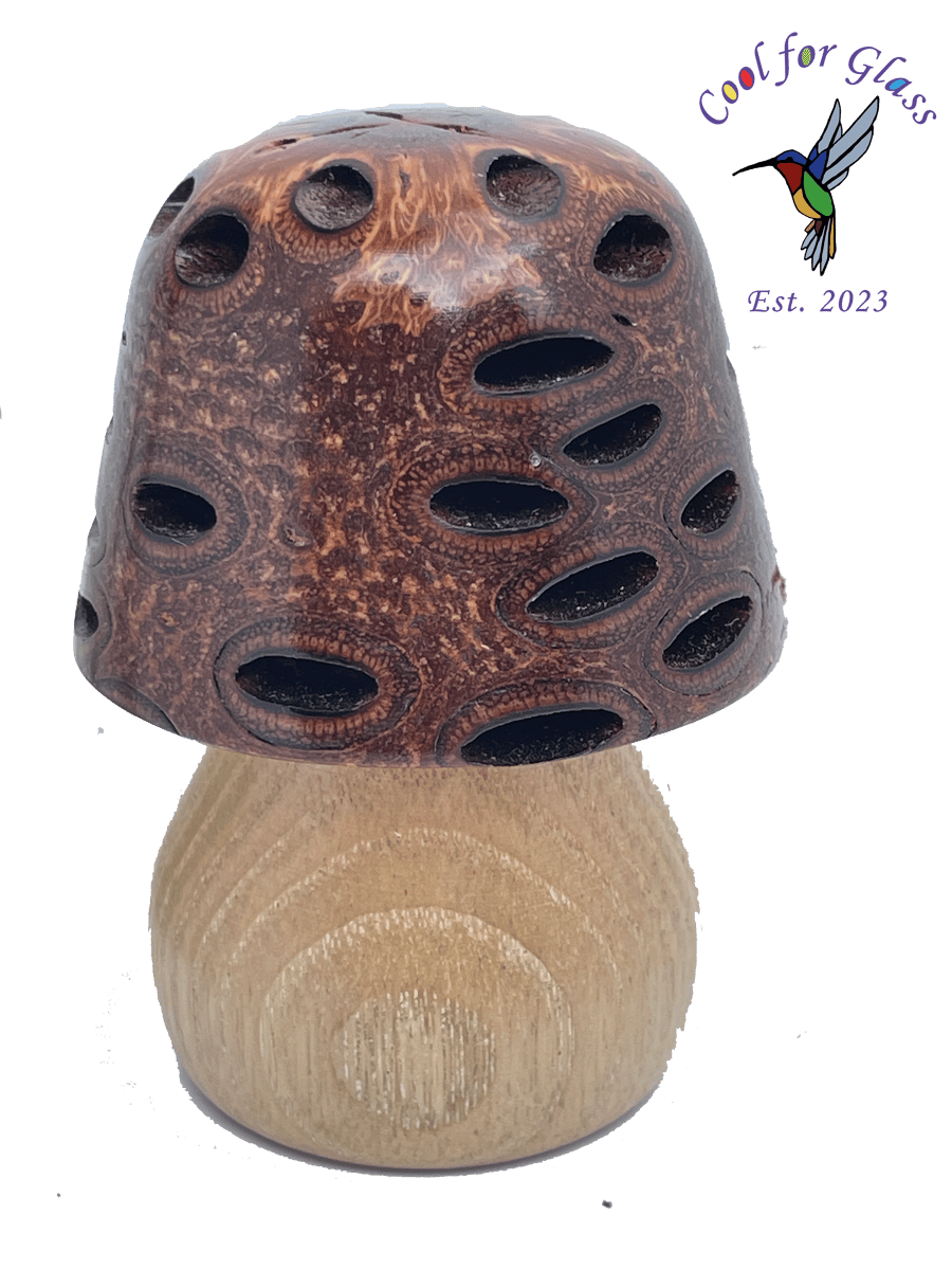 wood turned Banksia pod mushroom