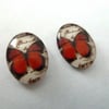 butterfly cabochons