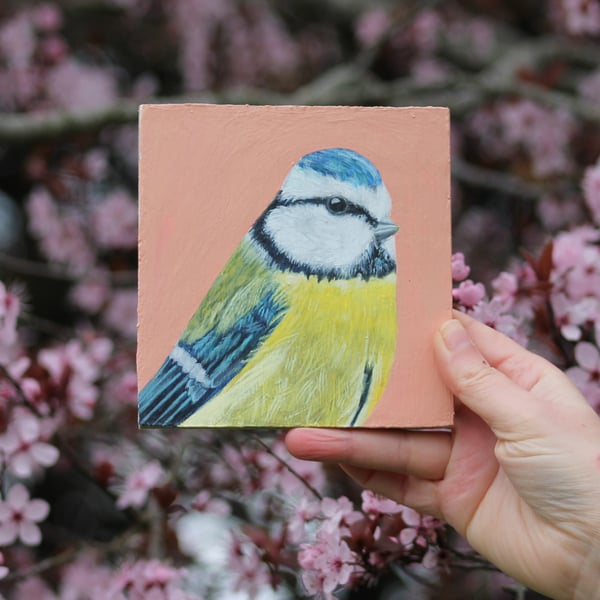 Blue tit - original acrylic painting