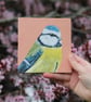 Blue tit - original acrylic painting
