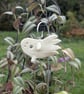 Gus - Glow in the dark ghost plant stake
