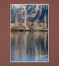 CJ220 - Tree streaks - Image 3