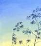 Framed Wildflowers Landscape Oil Painting Cow Parsley Impressionist Art - Image 4
