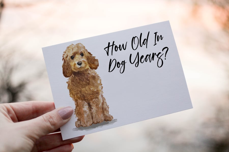 Cockapoo Honey Dog Birthday Card, Dog Birthday Card, Personalized Dog Breed Card