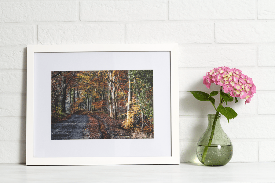 Autumn Lane - Print in A4 or A3 Mount (3 of 3)