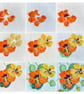 Hand Felted Nasturtium Textile Artwork  - Image 8