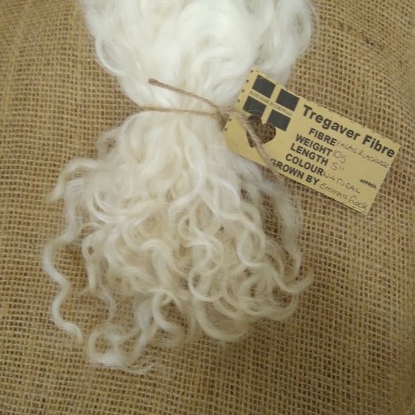 natural undyed Valais Blacknose wool locks, 10g, curly felting wool